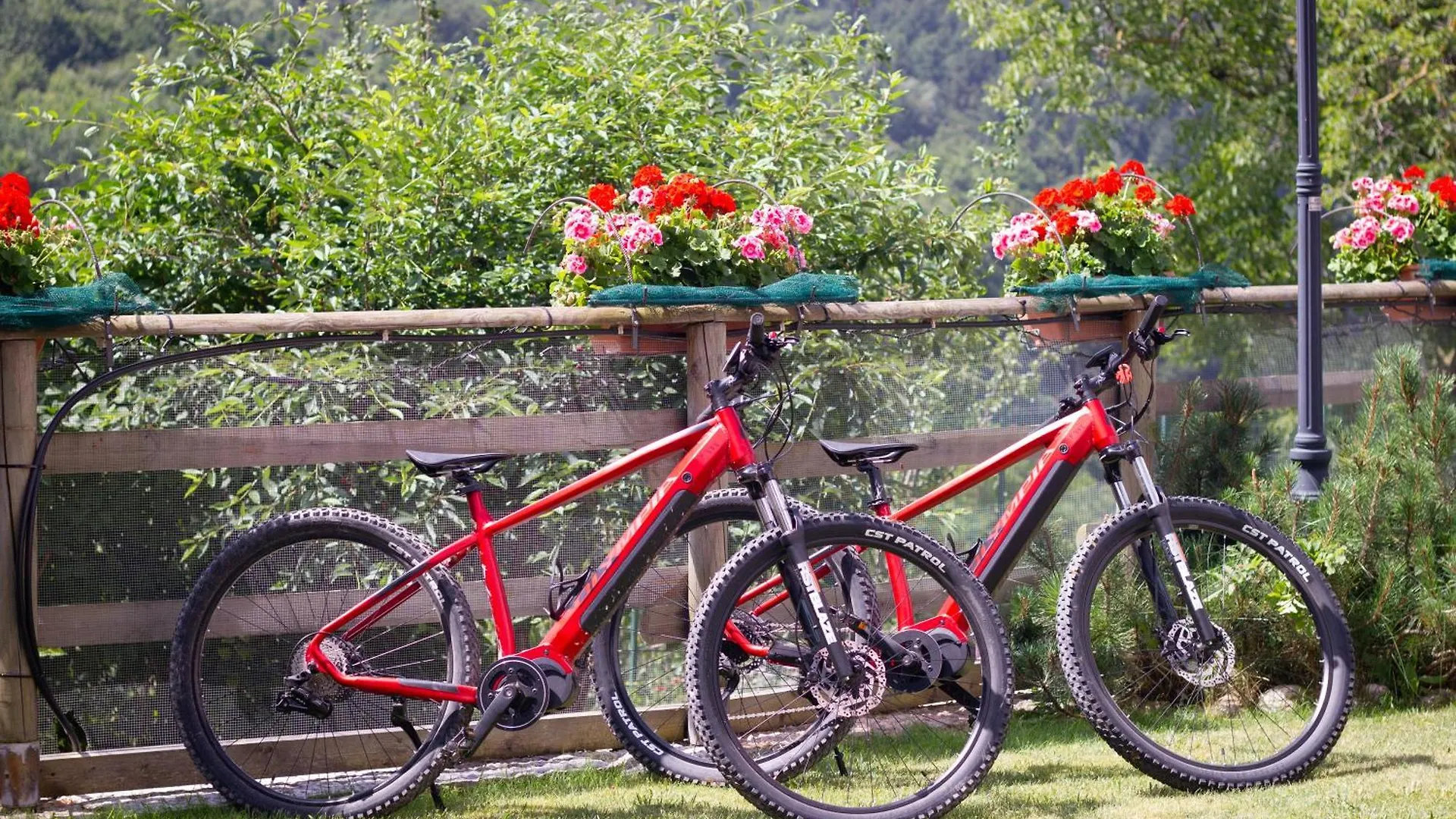 Ongar Relax Bed & Breakfast Bosco Chiesanuova 0*,  Italy